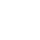 service vip